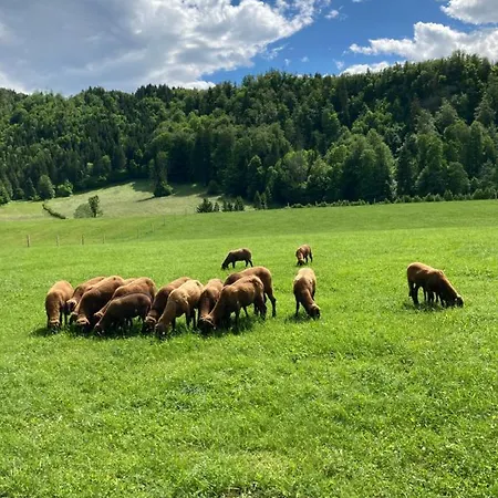 Apartament Haus Haslach