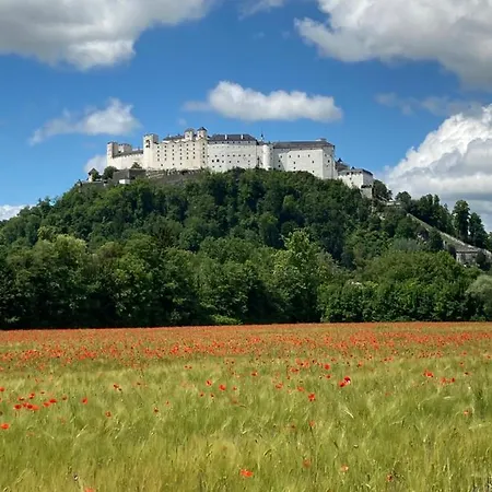 Haus Haslach Lägenhet *