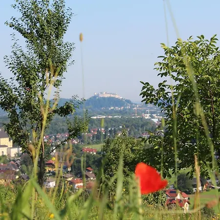 Haus Haslach Lejlighed