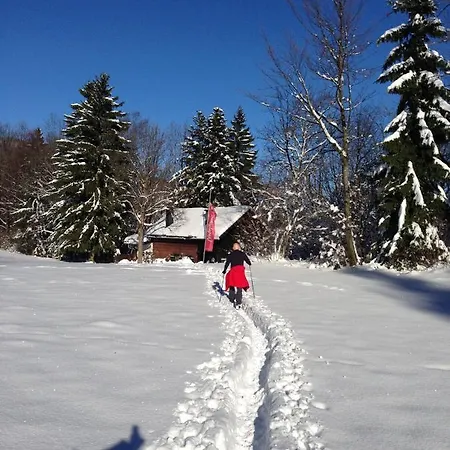 Lägenhet Haus Haslach