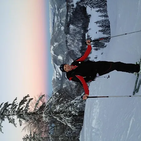 Lejlighed Haus Haslach