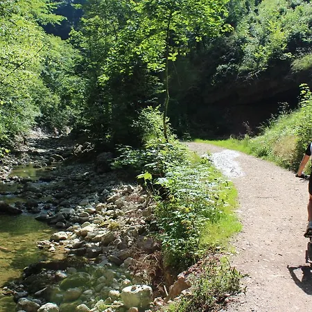 Lejlighed Haus Haslach Elsbethen